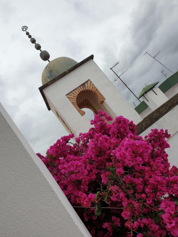 Entre 2 Mezquitas Apartamento 8 قرطبة المظهر الخارجي الصورة