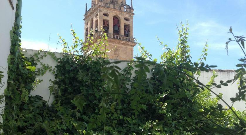 Entre 2 Mezquitas Apartamento 8 قرطبة المظهر الخارجي الصورة